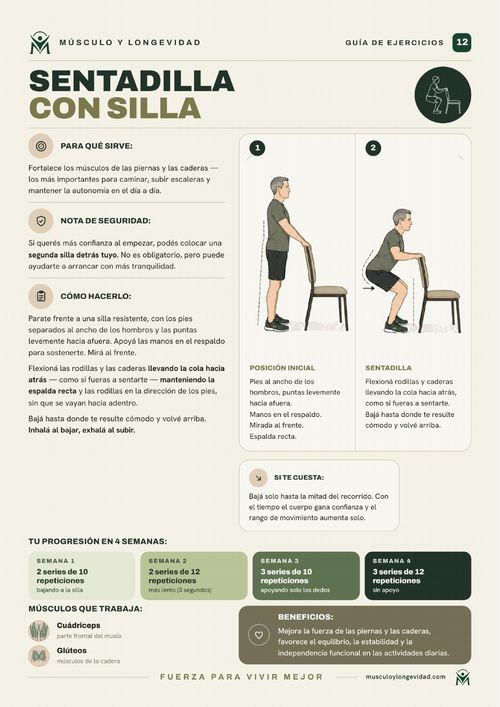 Ficha del ejercicio sentadilla con silla, con ilustraciones paso a paso
